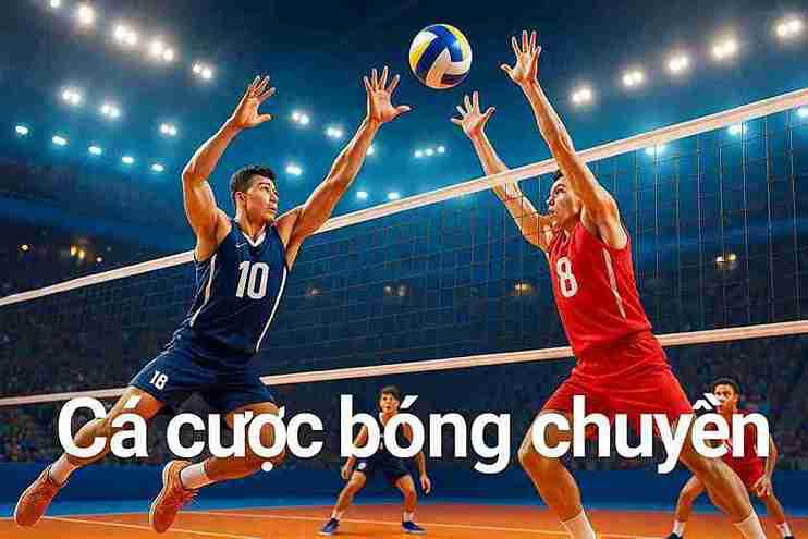 Cá Cược Bóng Chuyền HM888 – Đỉnh Cao Cho Người Chơi